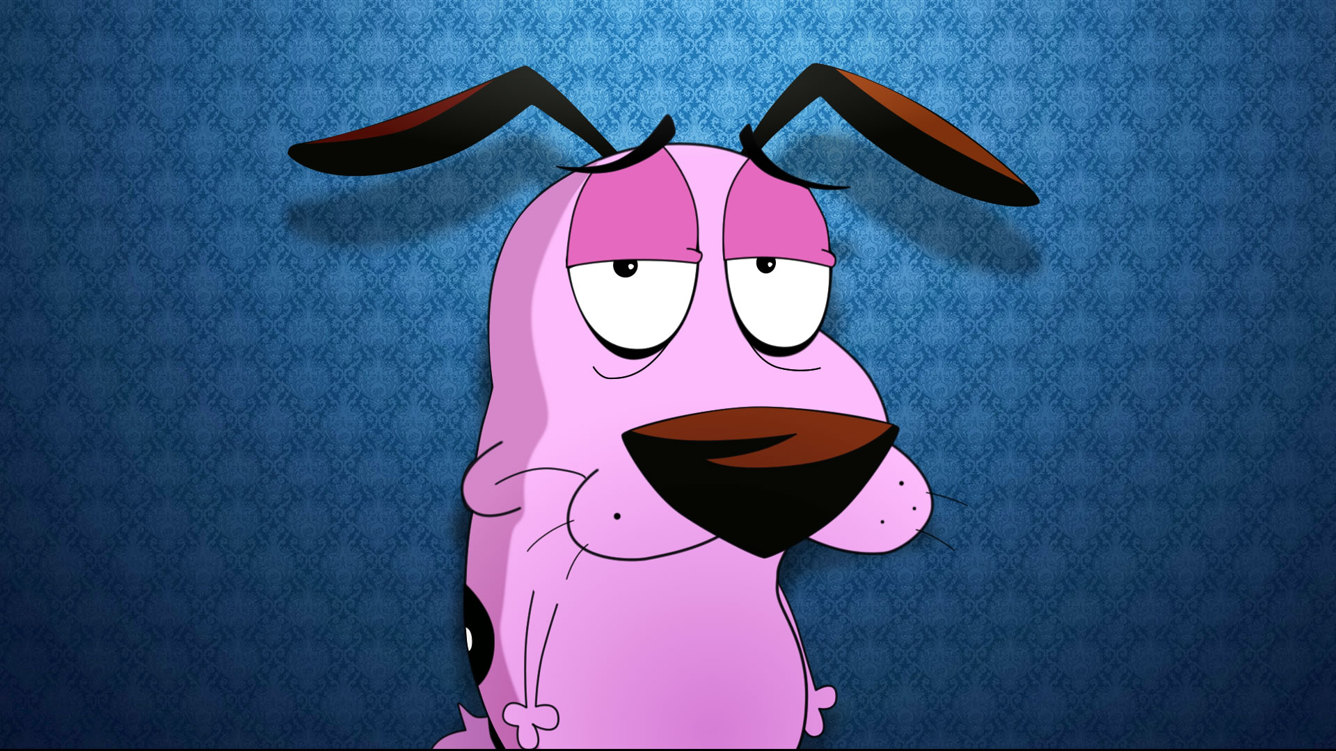 Imagine Courage the dog